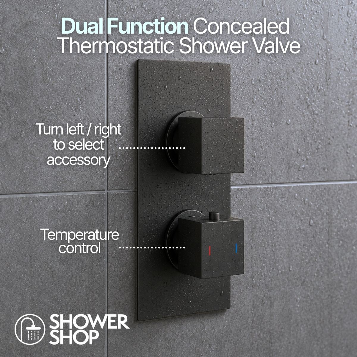 Cube Matt Black Dual Function Concealed Thermostatic Shower Valve