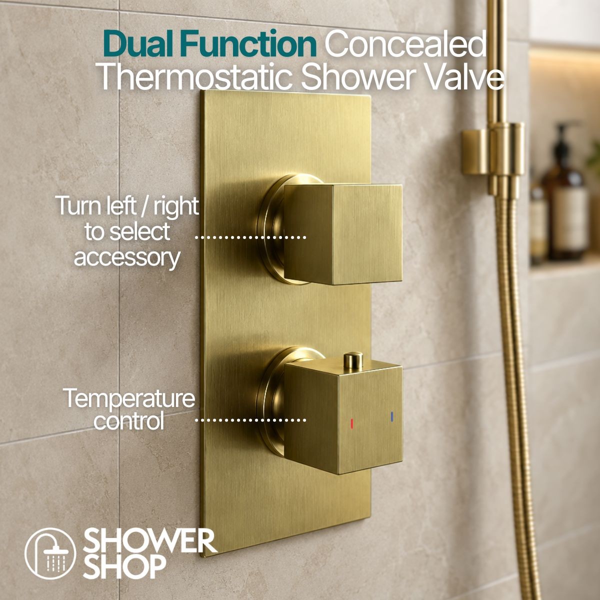 Globe Brushed Gold Dual Function Concealed Thermostatic Shower with Overhead & Slide Rail with Handset