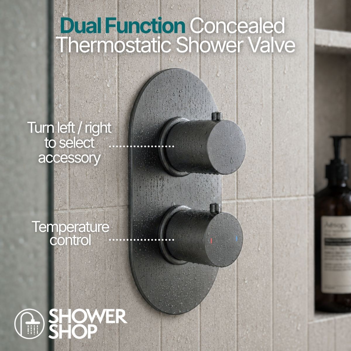 Globe Gunmetal Dual Function Concealed Thermostatic Shower with Overhead & Slide Rail with Handset