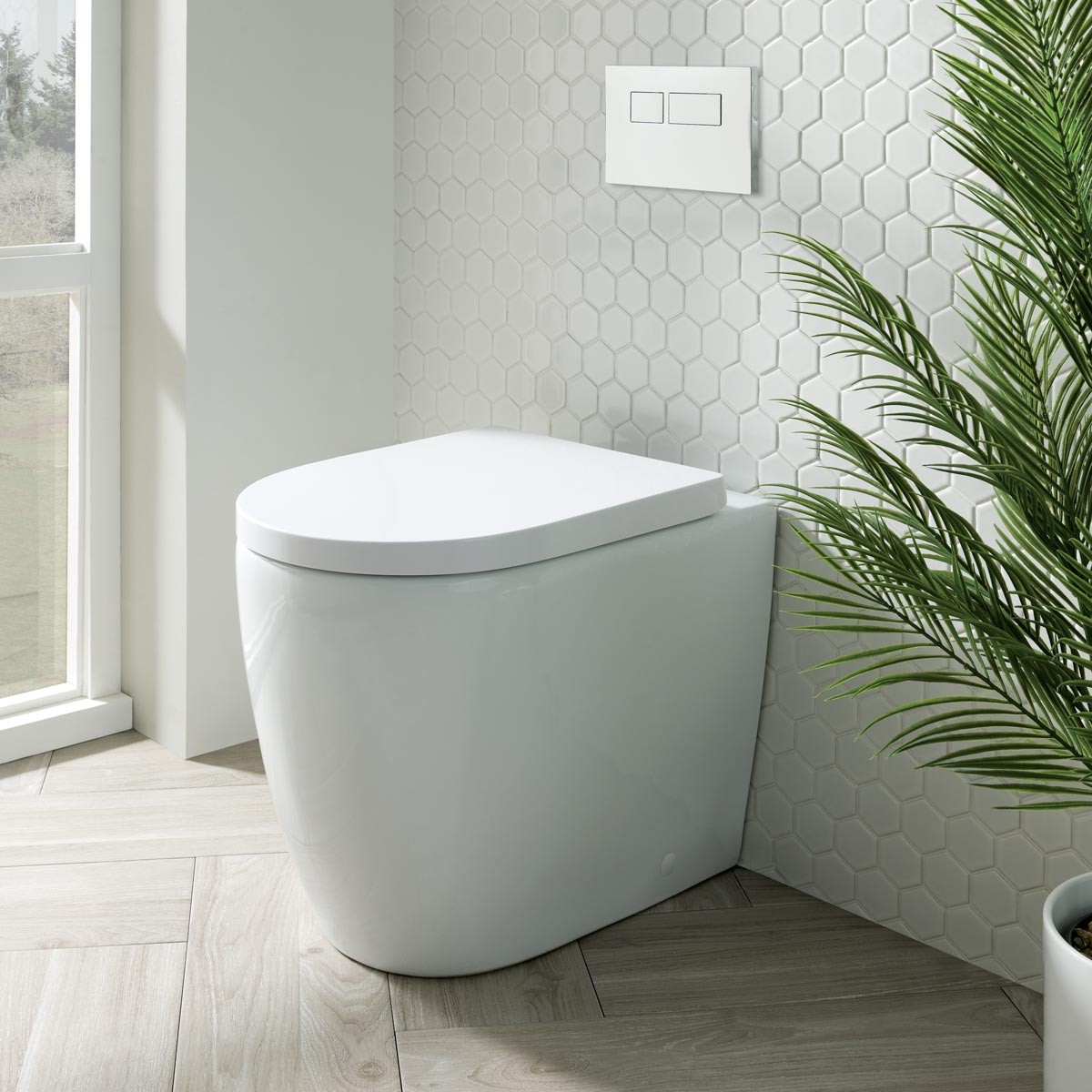 Richmond Back To Wall Pan with Soft Close Seat