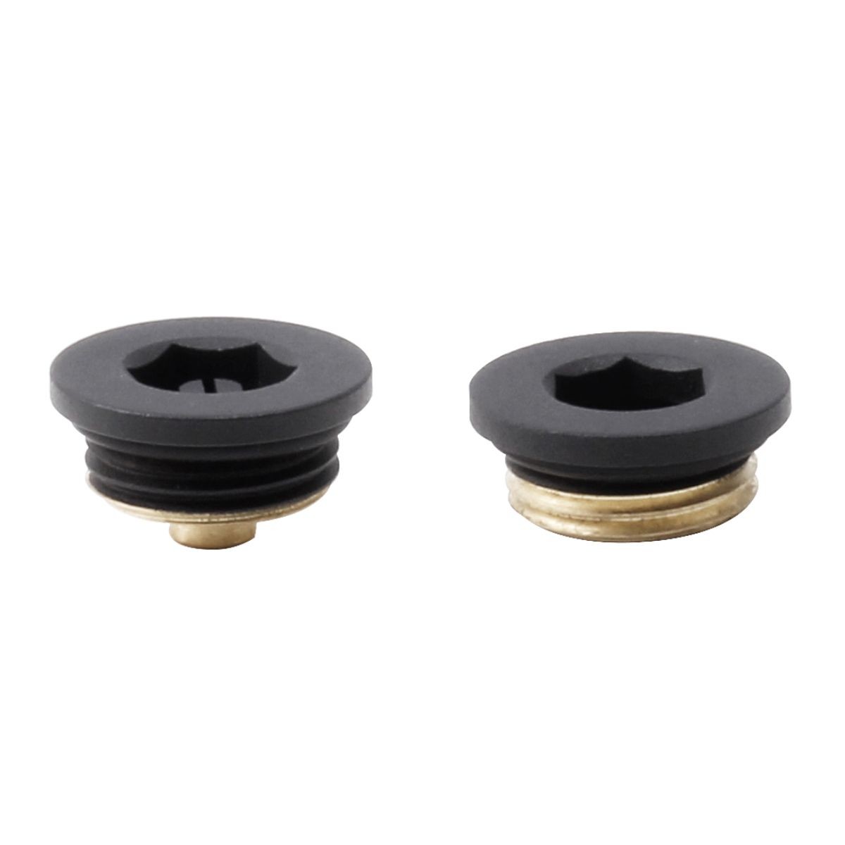 Radiator Air Vent & Plug Anthracite