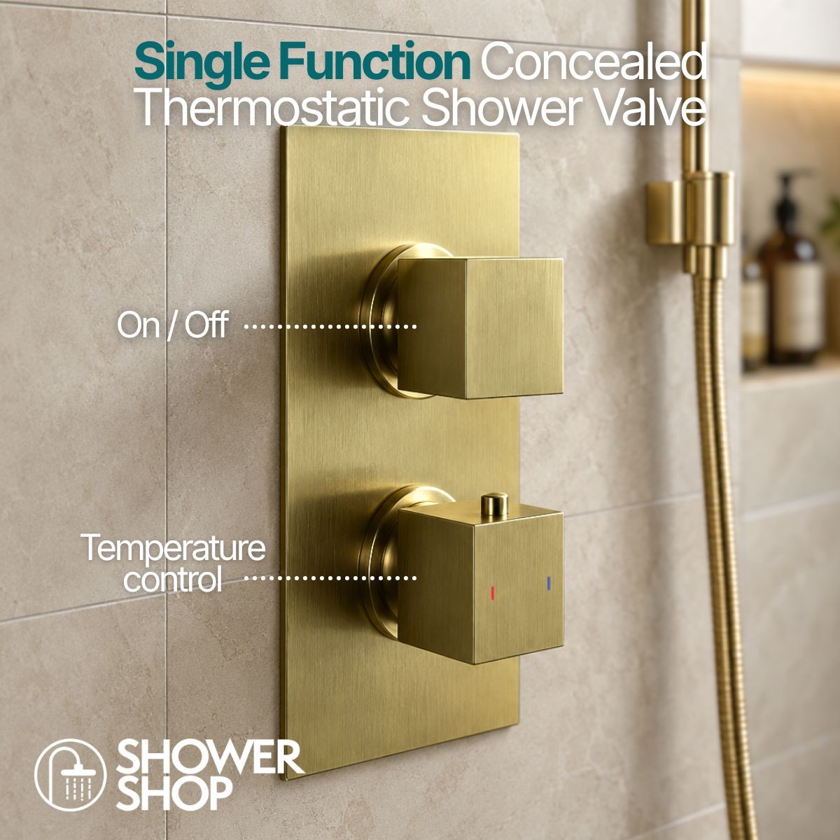 Cube Brushed Brass Single Function Concealed Thermostatic Shower with Slide Rail & Handset